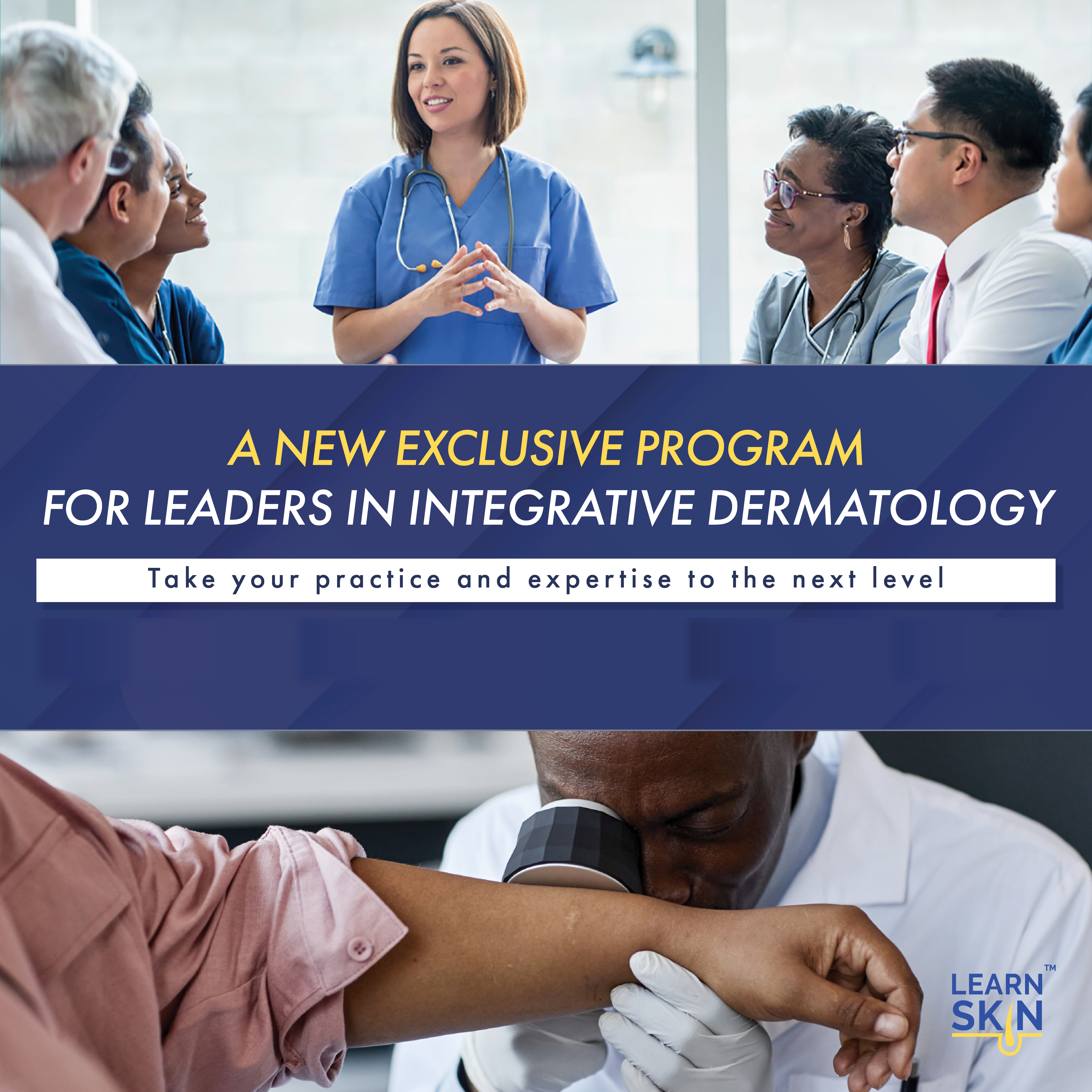 IMDF — a new exclusive program for leaders in integrative dermatology